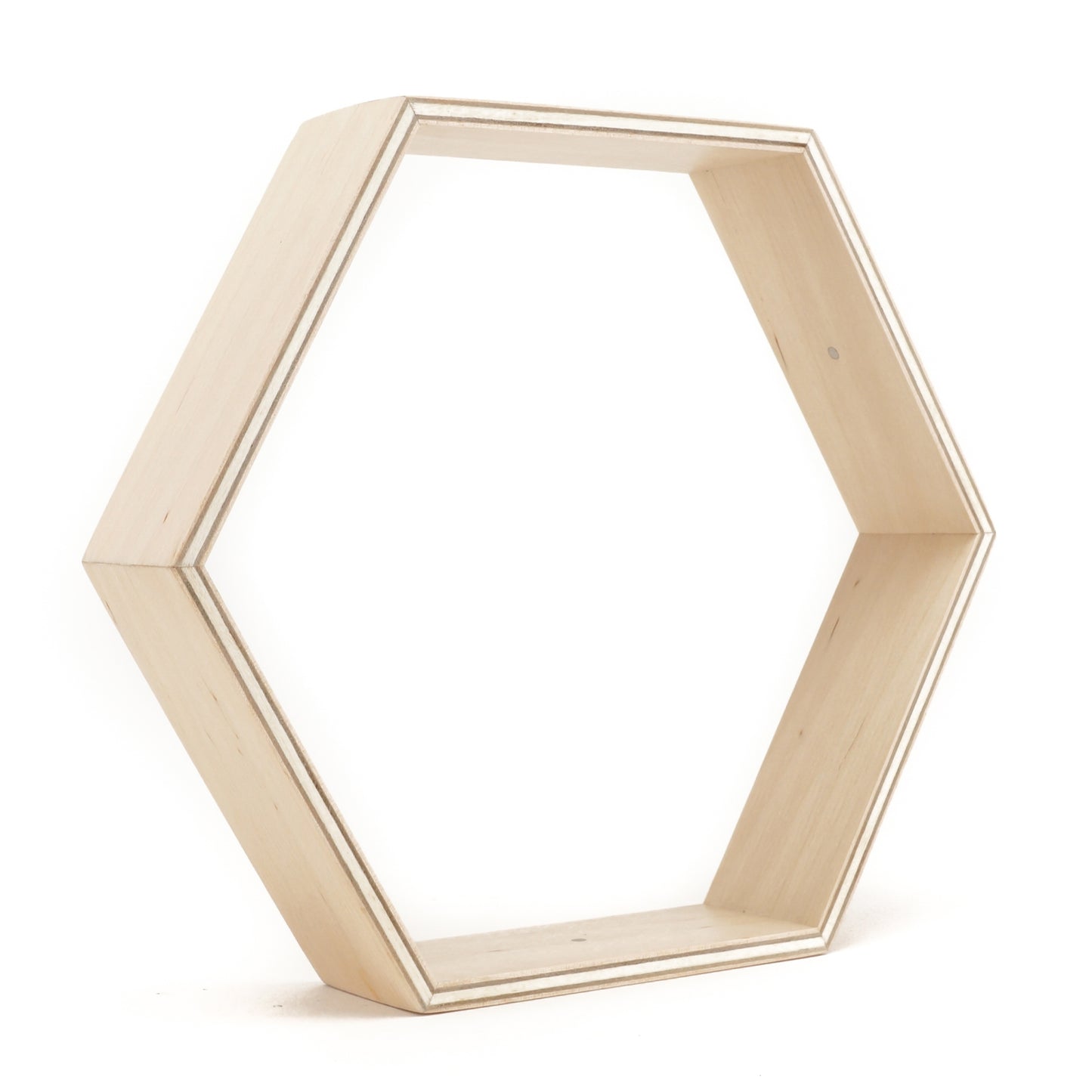 Large Frame